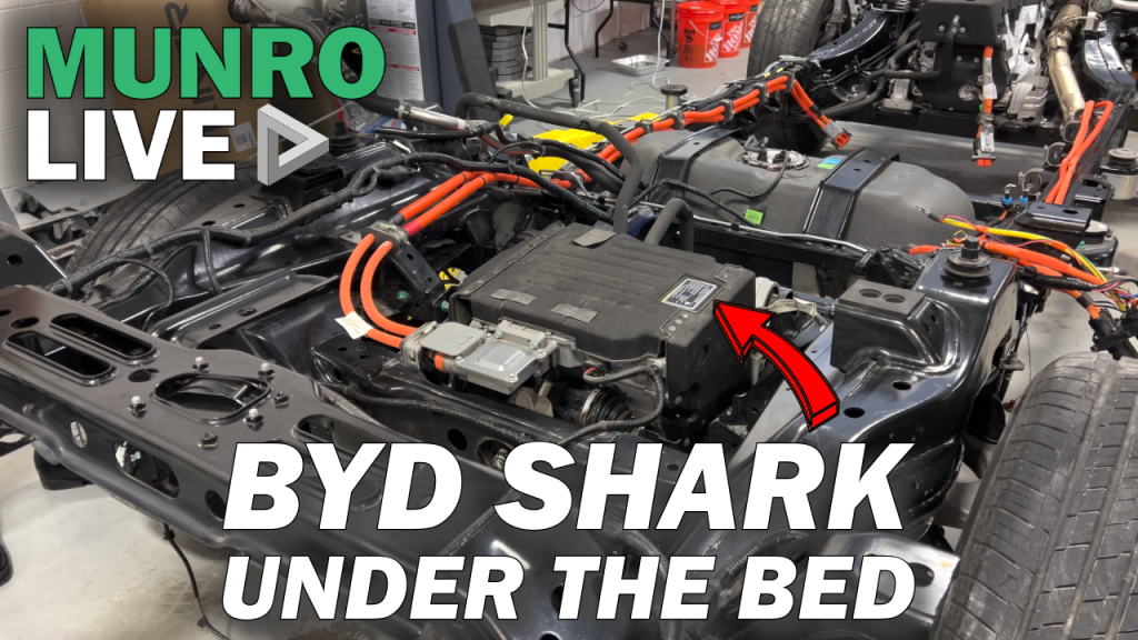 BYD Shark Under the Bed