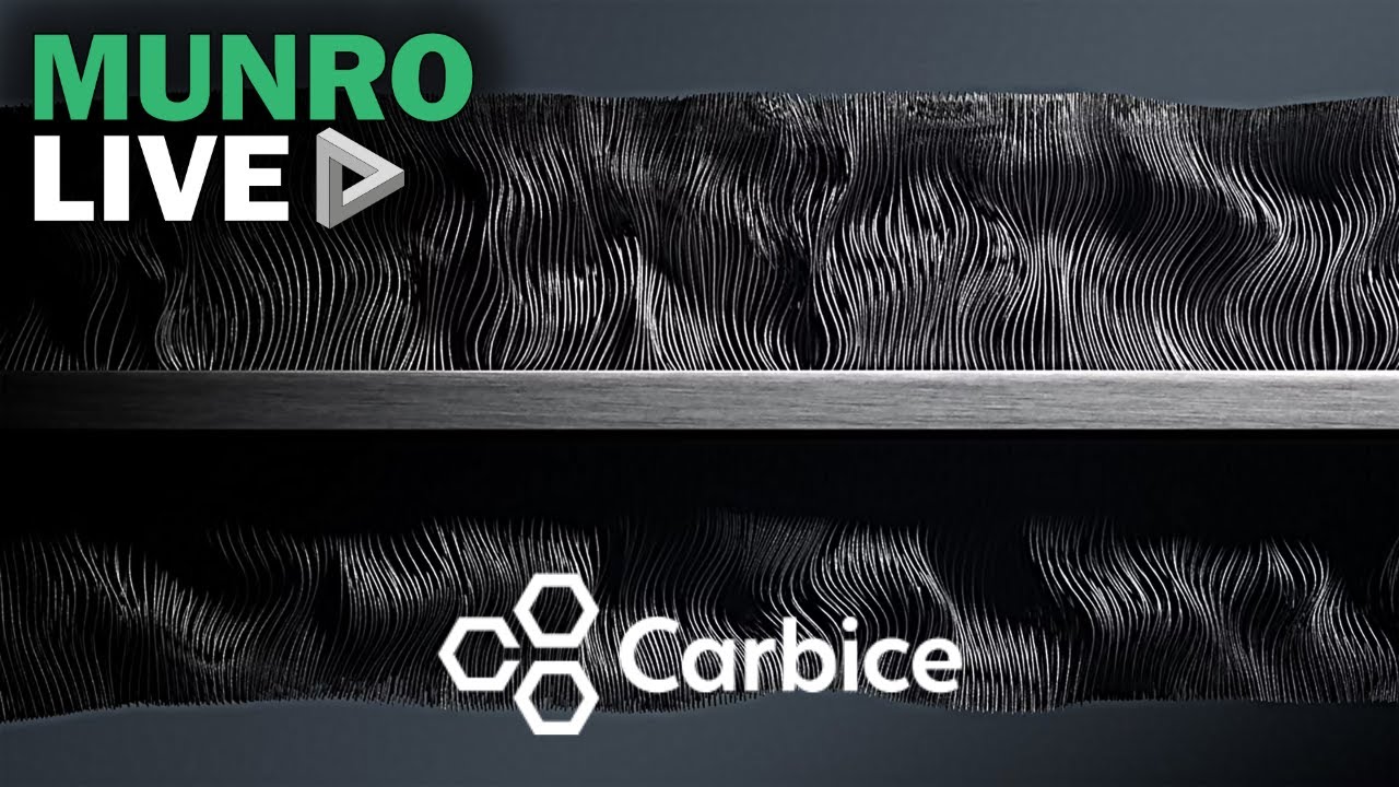 Carbice