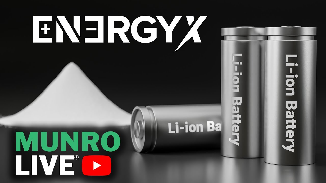EnergyX Li-ion Battery