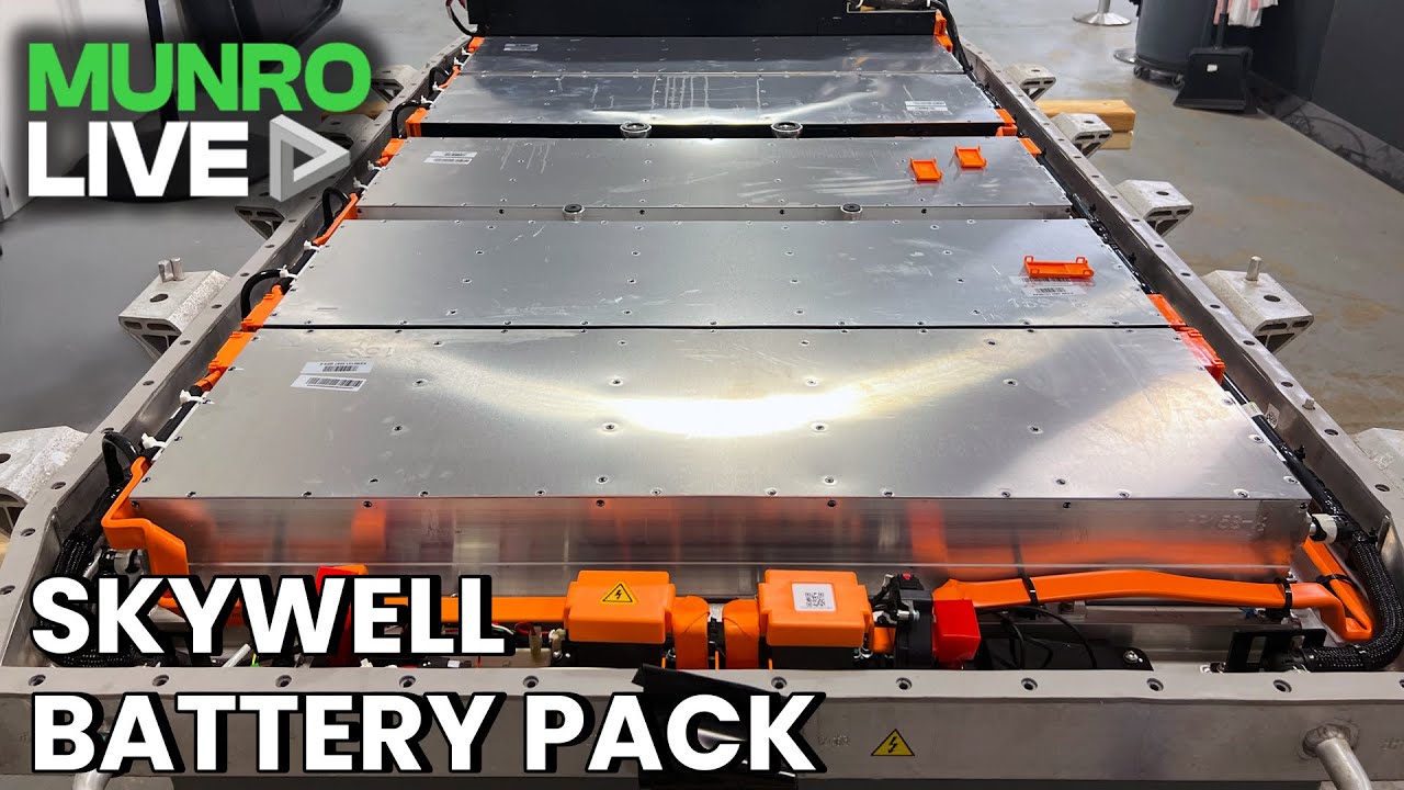 Skywell Battery Pack