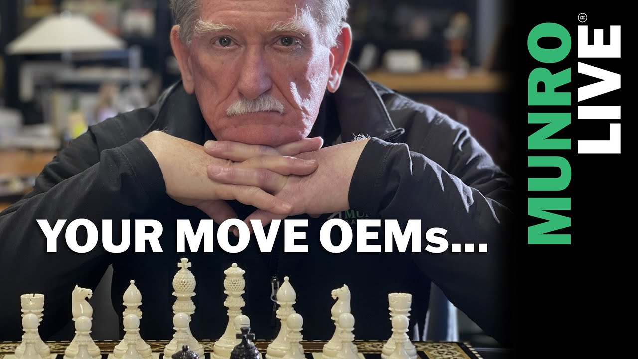 Sandy Playing Chess